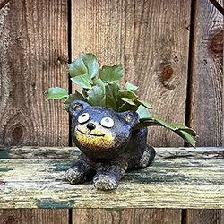 Bear Cub Planter