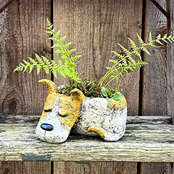 Dog Planter